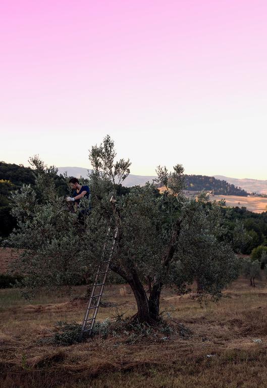 Villa Fonteintanata Miemo Exteriér fotografie